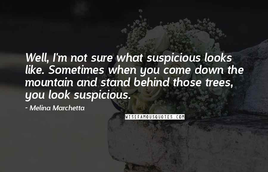 Melina Marchetta Quotes: Well, I'm not sure what suspicious looks like. Sometimes when you come down the mountain and stand behind those trees, you look suspicious.