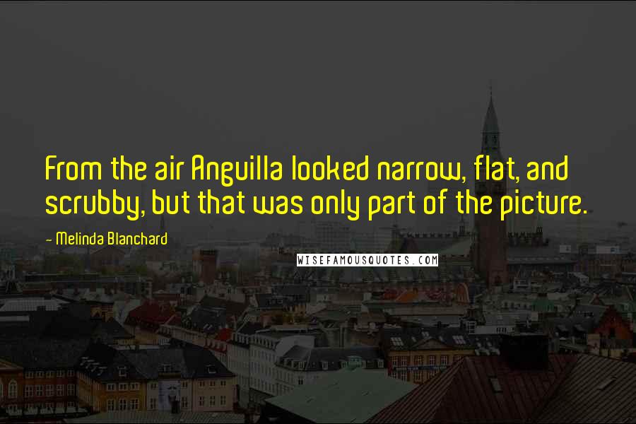 Melinda Blanchard Quotes: From the air Anguilla looked narrow, flat, and scrubby, but that was only part of the picture.