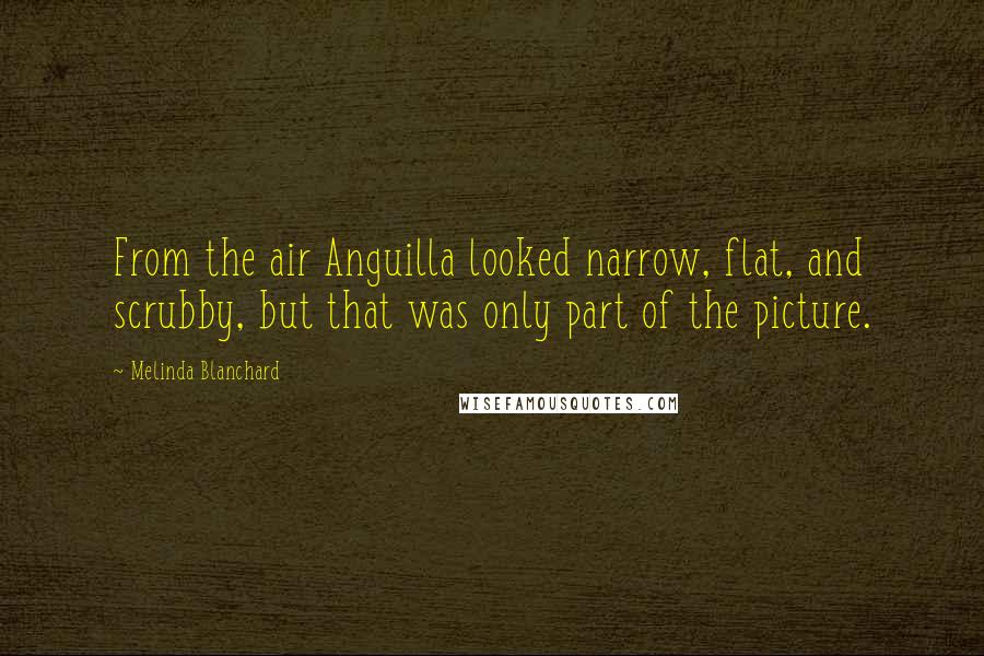 Melinda Blanchard Quotes: From the air Anguilla looked narrow, flat, and scrubby, but that was only part of the picture.