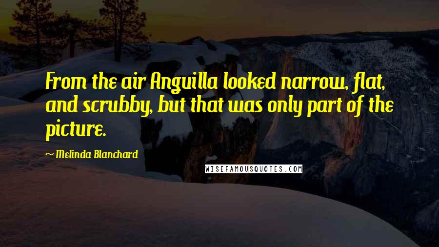 Melinda Blanchard Quotes: From the air Anguilla looked narrow, flat, and scrubby, but that was only part of the picture.