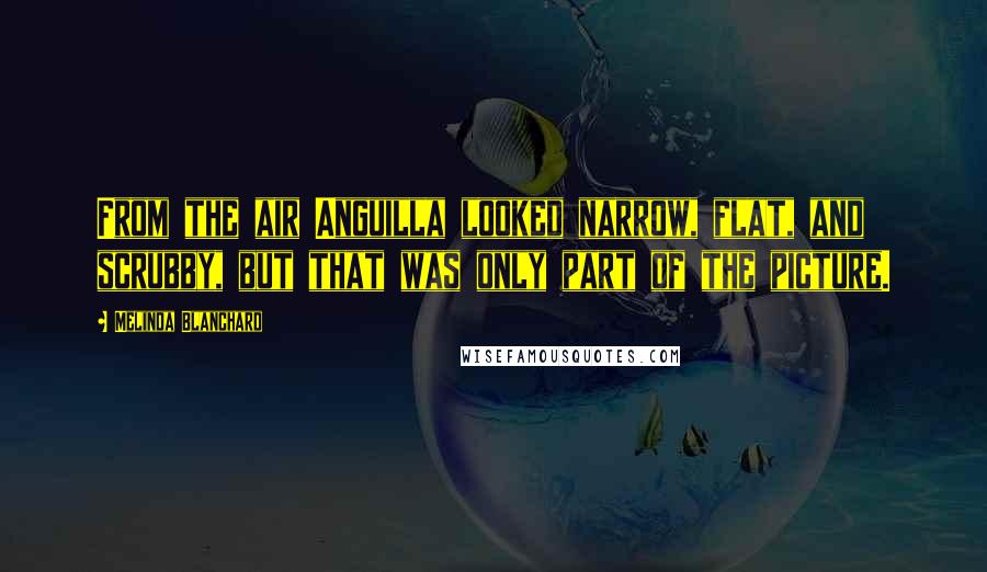 Melinda Blanchard Quotes: From the air Anguilla looked narrow, flat, and scrubby, but that was only part of the picture.