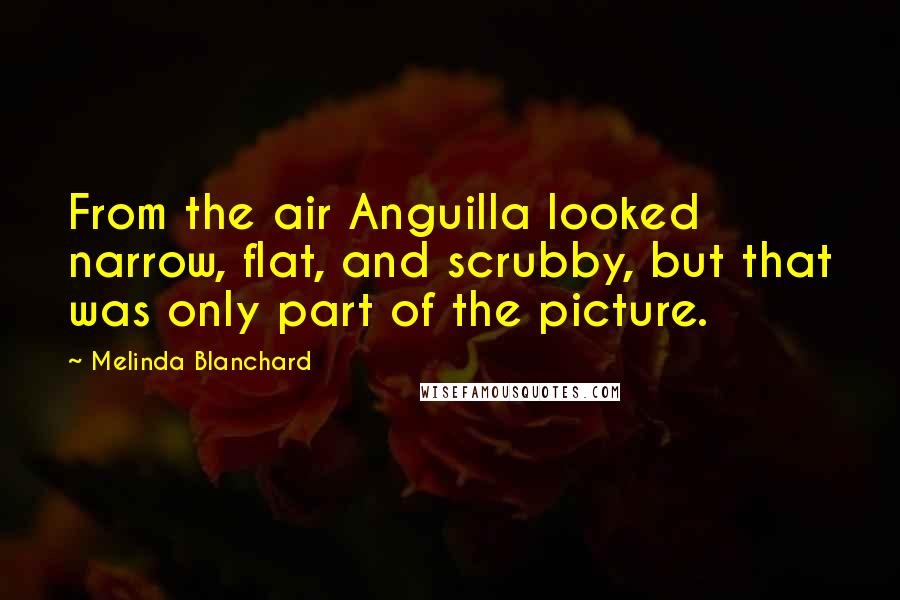 Melinda Blanchard Quotes: From the air Anguilla looked narrow, flat, and scrubby, but that was only part of the picture.