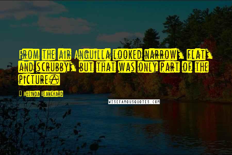 Melinda Blanchard Quotes: From the air Anguilla looked narrow, flat, and scrubby, but that was only part of the picture.