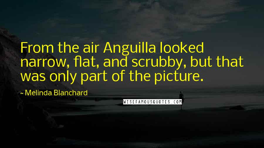 Melinda Blanchard Quotes: From the air Anguilla looked narrow, flat, and scrubby, but that was only part of the picture.