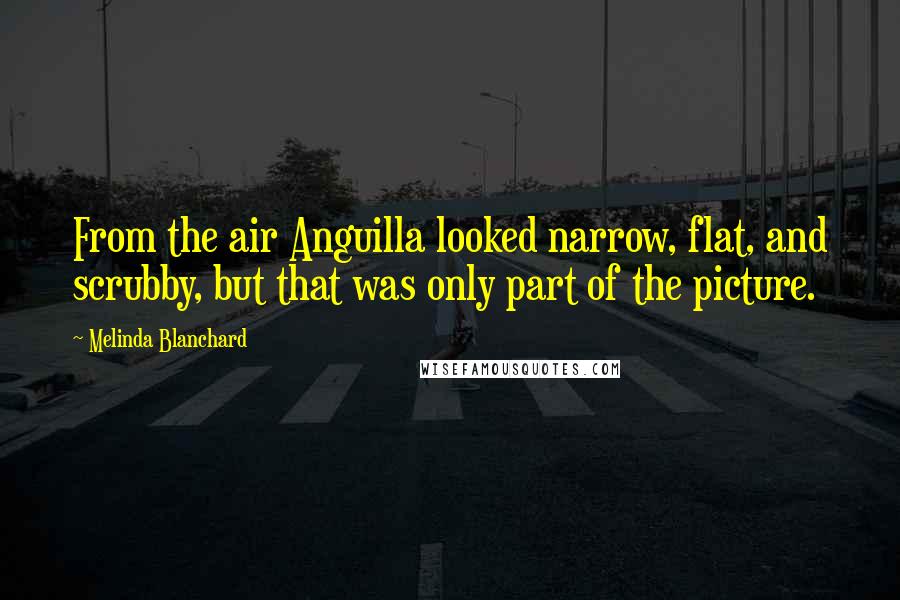 Melinda Blanchard Quotes: From the air Anguilla looked narrow, flat, and scrubby, but that was only part of the picture.