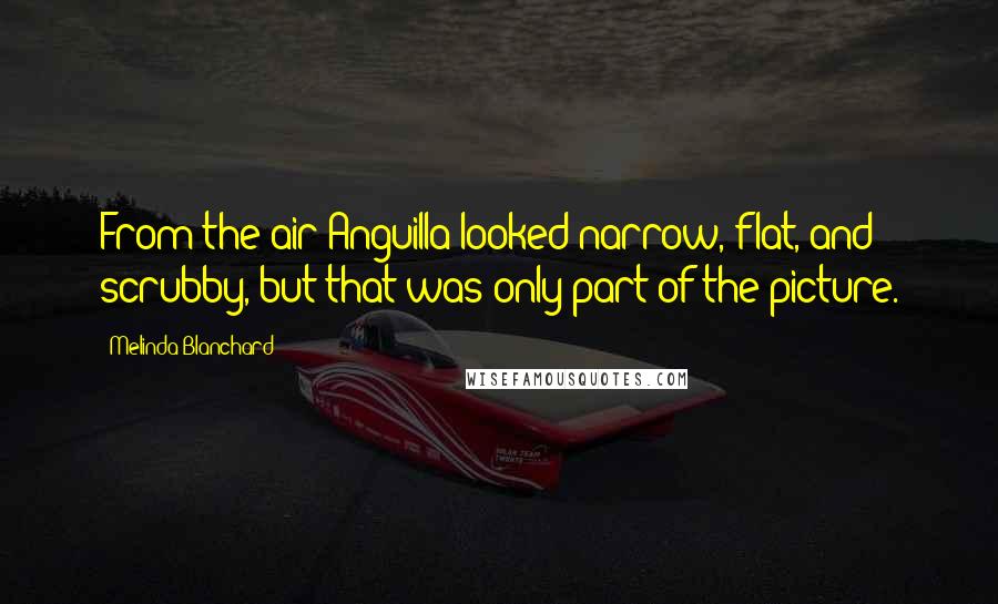 Melinda Blanchard Quotes: From the air Anguilla looked narrow, flat, and scrubby, but that was only part of the picture.