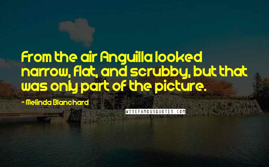 Melinda Blanchard Quotes: From the air Anguilla looked narrow, flat, and scrubby, but that was only part of the picture.