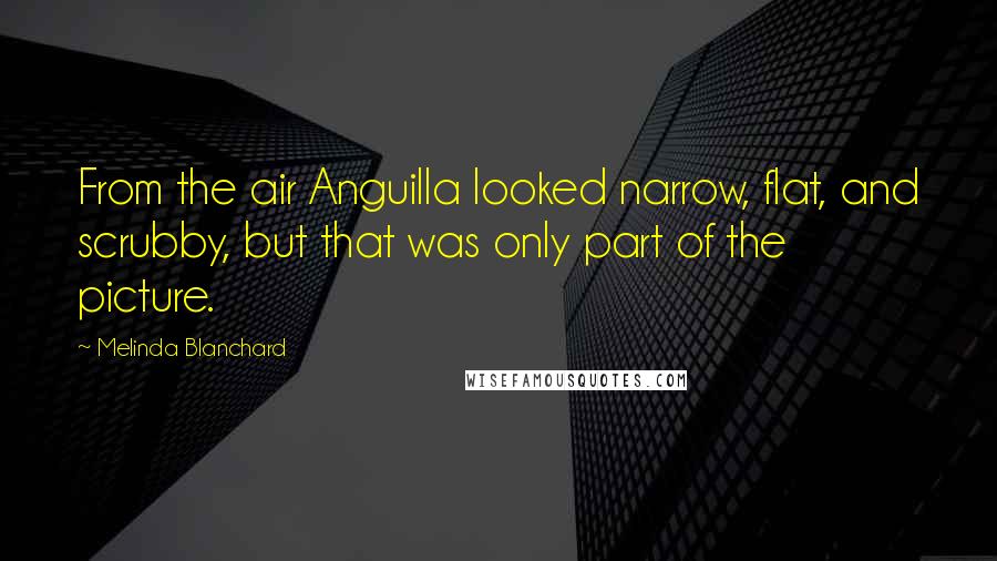 Melinda Blanchard Quotes: From the air Anguilla looked narrow, flat, and scrubby, but that was only part of the picture.