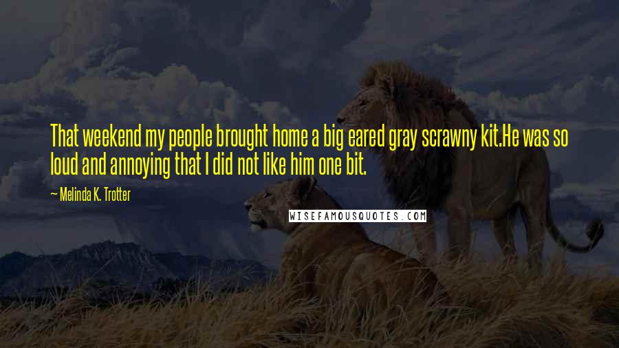 Melinda K. Trotter Quotes: That weekend my people brought home a big eared gray scrawny kit.He was so loud and annoying that I did not like him one bit.