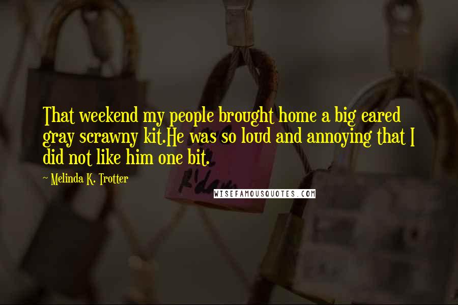 Melinda K. Trotter Quotes: That weekend my people brought home a big eared gray scrawny kit.He was so loud and annoying that I did not like him one bit.