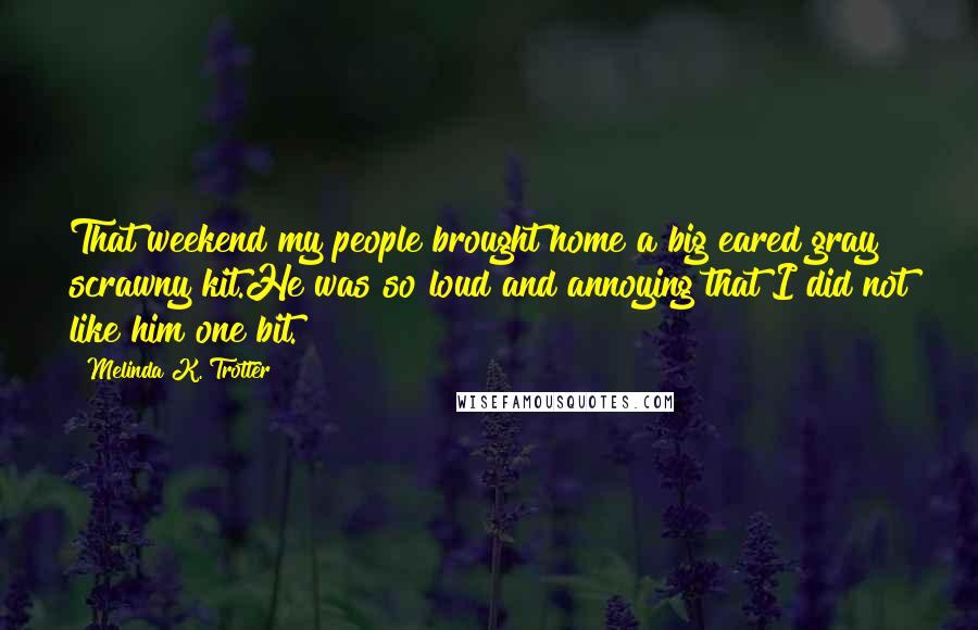 Melinda K. Trotter Quotes: That weekend my people brought home a big eared gray scrawny kit.He was so loud and annoying that I did not like him one bit.