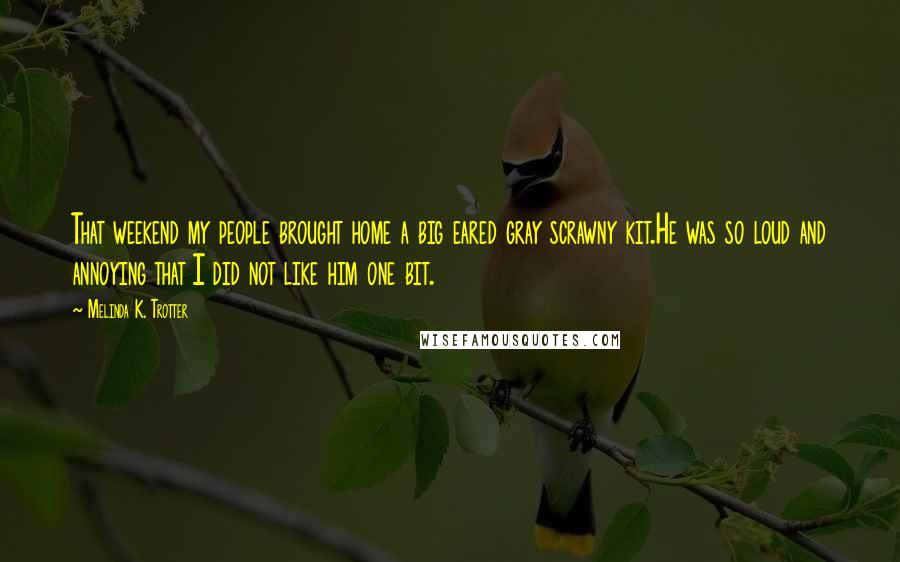 Melinda K. Trotter Quotes: That weekend my people brought home a big eared gray scrawny kit.He was so loud and annoying that I did not like him one bit.