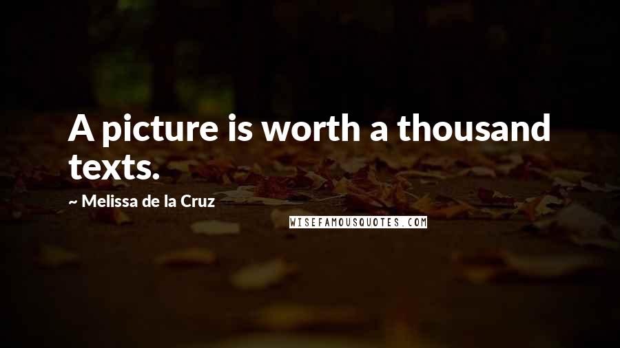 Melissa De La Cruz Quotes: A picture is worth a thousand texts.