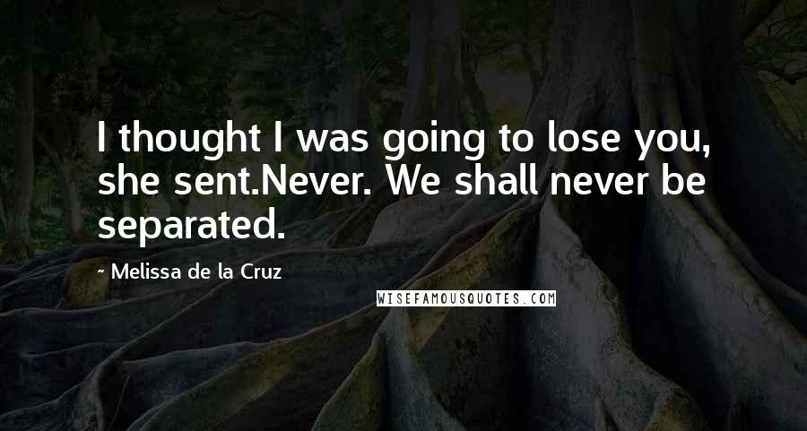 Melissa De La Cruz Quotes: I thought I was going to lose you, she sent.Never. We shall never be separated.