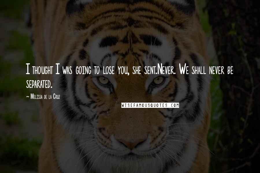 Melissa De La Cruz Quotes: I thought I was going to lose you, she sent.Never. We shall never be separated.