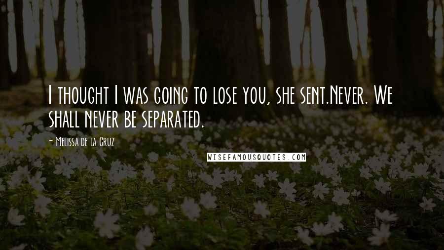 Melissa De La Cruz Quotes: I thought I was going to lose you, she sent.Never. We shall never be separated.