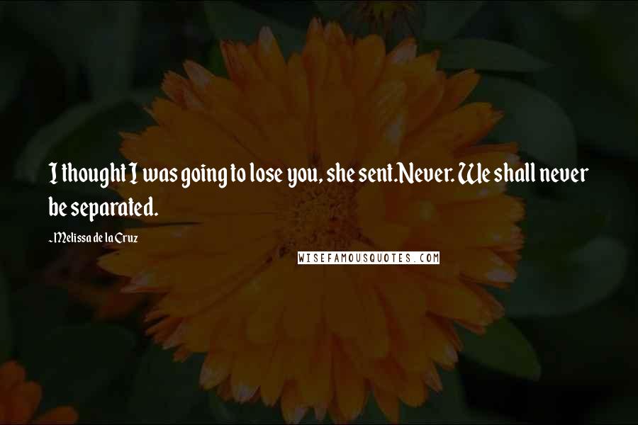 Melissa De La Cruz Quotes: I thought I was going to lose you, she sent.Never. We shall never be separated.