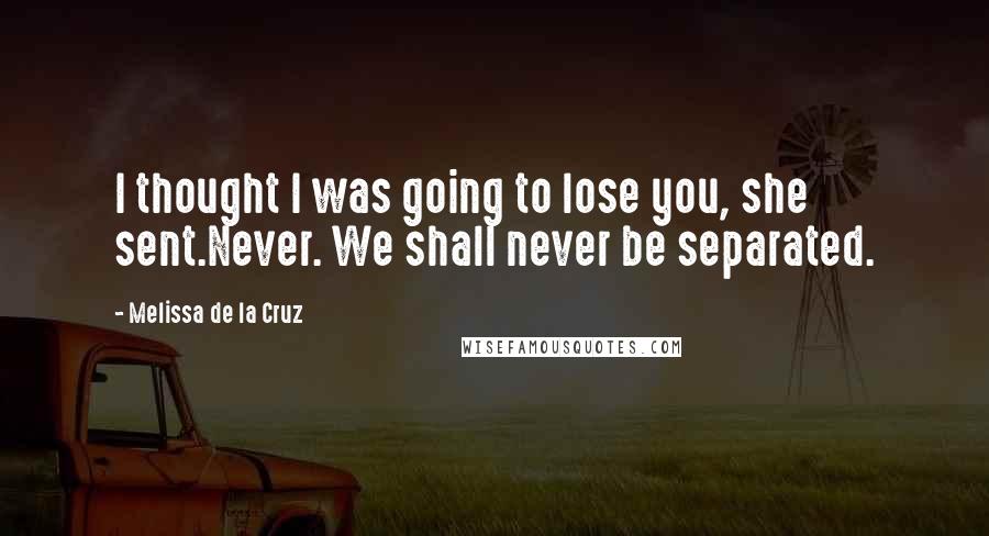 Melissa De La Cruz Quotes: I thought I was going to lose you, she sent.Never. We shall never be separated.