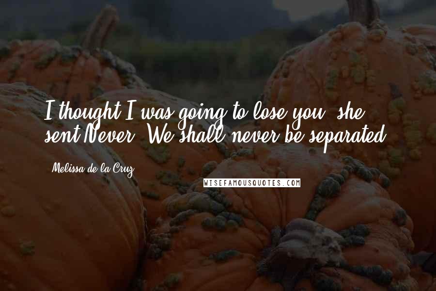 Melissa De La Cruz Quotes: I thought I was going to lose you, she sent.Never. We shall never be separated.