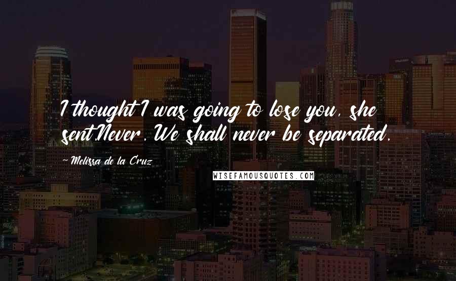 Melissa De La Cruz Quotes: I thought I was going to lose you, she sent.Never. We shall never be separated.