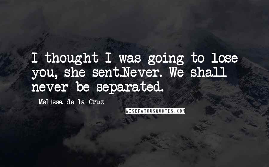 Melissa De La Cruz Quotes: I thought I was going to lose you, she sent.Never. We shall never be separated.