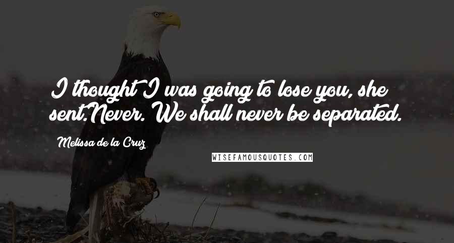 Melissa De La Cruz Quotes: I thought I was going to lose you, she sent.Never. We shall never be separated.