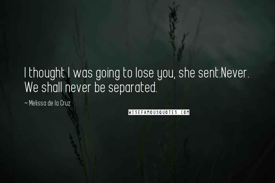 Melissa De La Cruz Quotes: I thought I was going to lose you, she sent.Never. We shall never be separated.