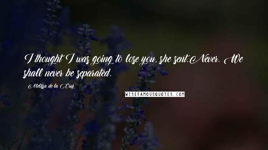 Melissa De La Cruz Quotes: I thought I was going to lose you, she sent.Never. We shall never be separated.