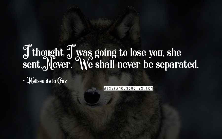 Melissa De La Cruz Quotes: I thought I was going to lose you, she sent.Never. We shall never be separated.