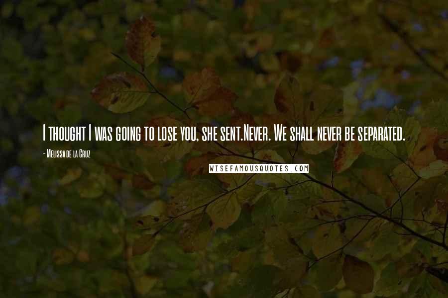 Melissa De La Cruz Quotes: I thought I was going to lose you, she sent.Never. We shall never be separated.