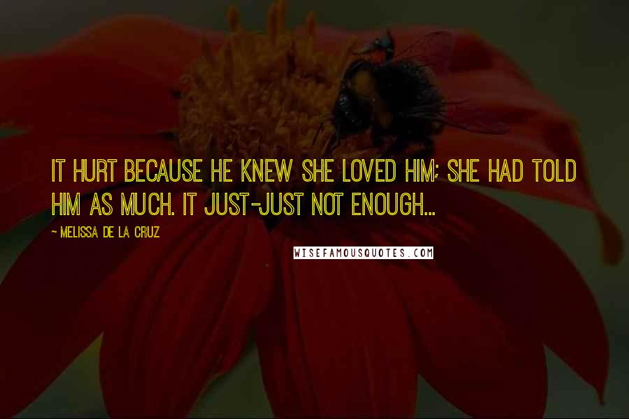 Melissa De La Cruz Quotes: It hurt because he knew she loved him; she had told him as much. It just-just not enough...