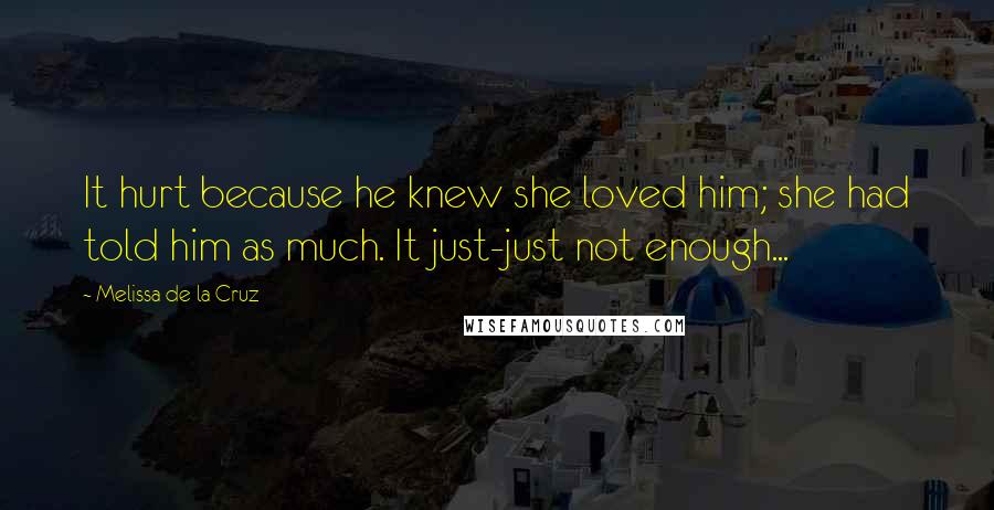 Melissa De La Cruz Quotes: It hurt because he knew she loved him; she had told him as much. It just-just not enough...
