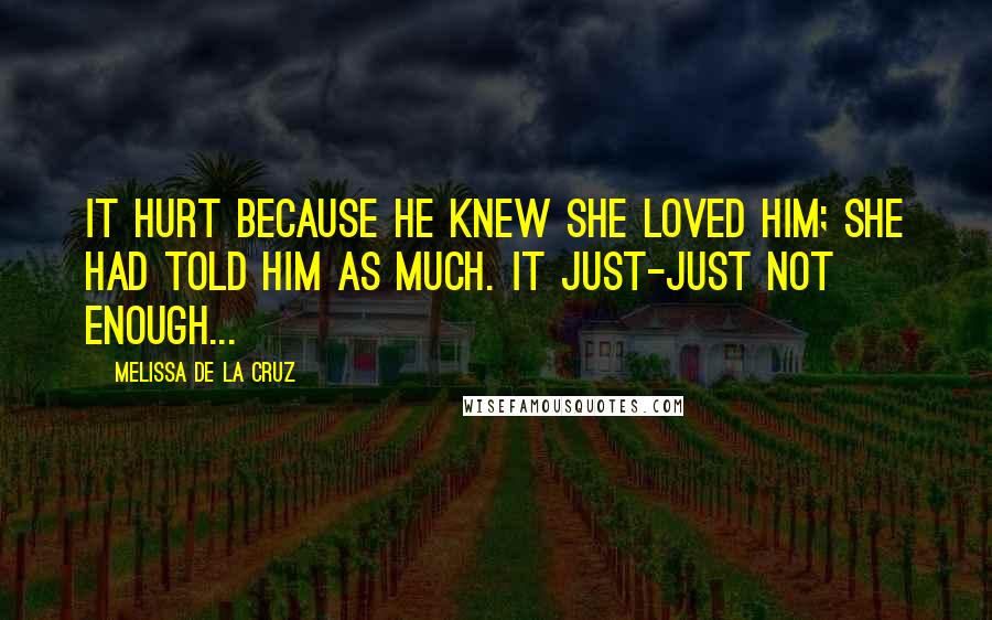 Melissa De La Cruz Quotes: It hurt because he knew she loved him; she had told him as much. It just-just not enough...