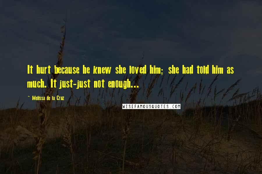 Melissa De La Cruz Quotes: It hurt because he knew she loved him; she had told him as much. It just-just not enough...