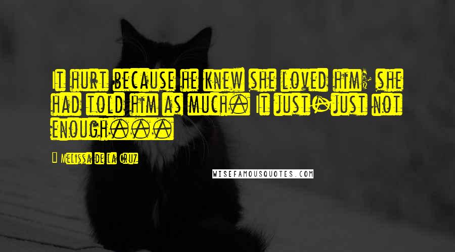 Melissa De La Cruz Quotes: It hurt because he knew she loved him; she had told him as much. It just-just not enough...