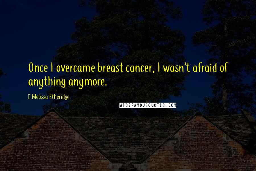 Melissa Etheridge Quotes: Once I overcame breast cancer, I wasn't afraid of anything anymore.