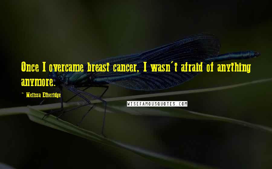 Melissa Etheridge Quotes: Once I overcame breast cancer, I wasn't afraid of anything anymore.