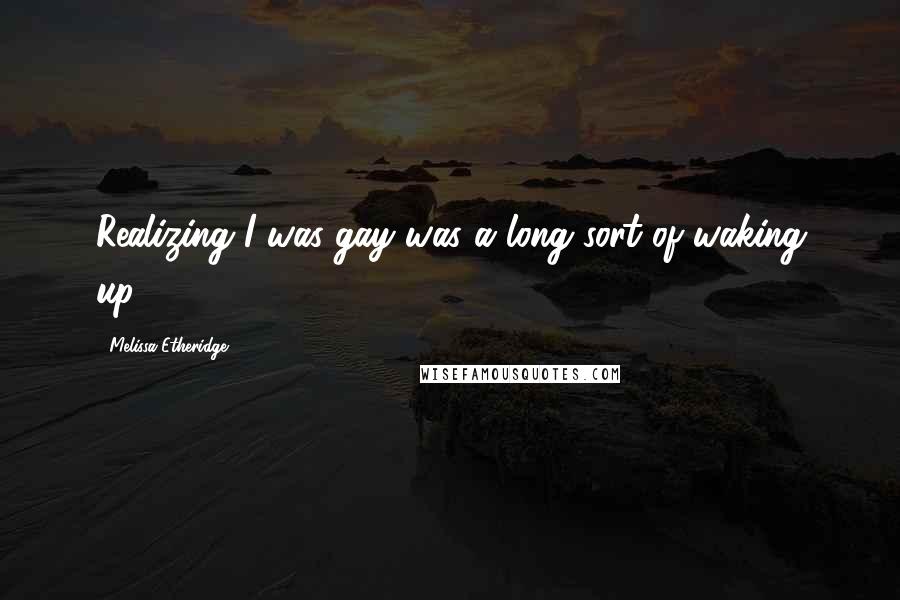 Melissa Etheridge Quotes: Realizing I was gay was a long sort of waking up.