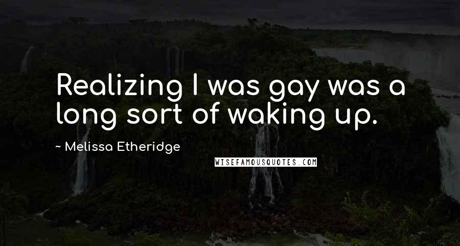 Melissa Etheridge Quotes: Realizing I was gay was a long sort of waking up.