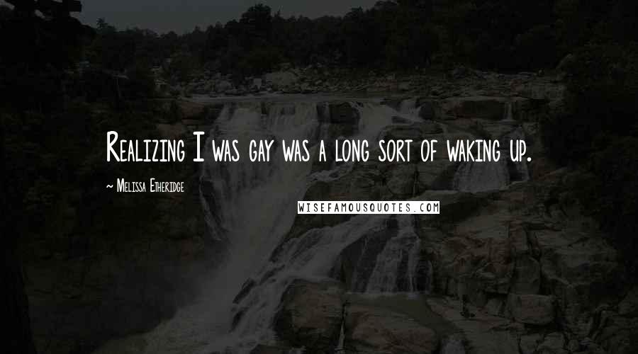 Melissa Etheridge Quotes: Realizing I was gay was a long sort of waking up.