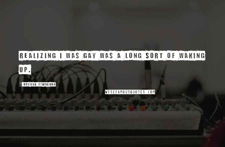 Melissa Etheridge Quotes: Realizing I was gay was a long sort of waking up.