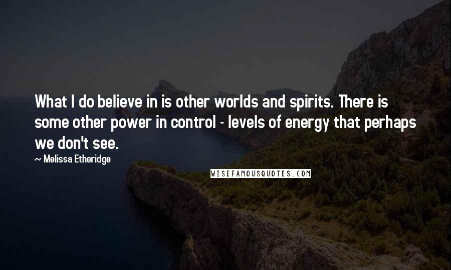 Melissa Etheridge Quotes: What I do believe in is other worlds and spirits. There is some other power in control - levels of energy that perhaps we don't see.
