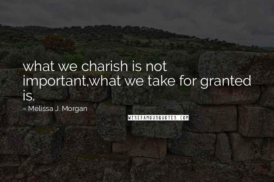 Melissa J. Morgan Quotes: what we charish is not important,what we take for granted is.