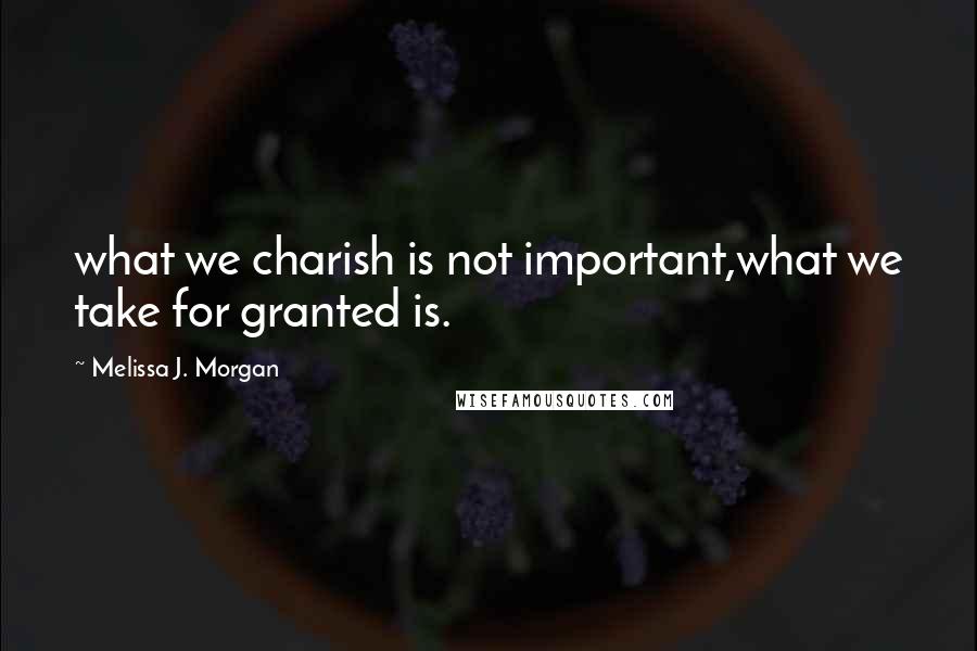 Melissa J. Morgan Quotes: what we charish is not important,what we take for granted is.