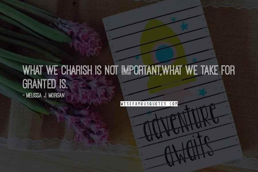 Melissa J. Morgan Quotes: what we charish is not important,what we take for granted is.