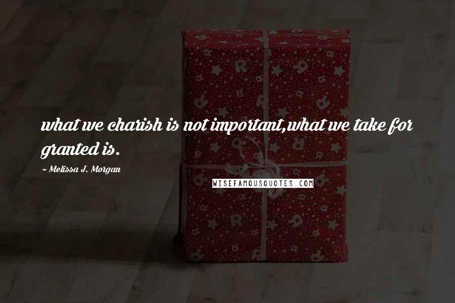 Melissa J. Morgan Quotes: what we charish is not important,what we take for granted is.