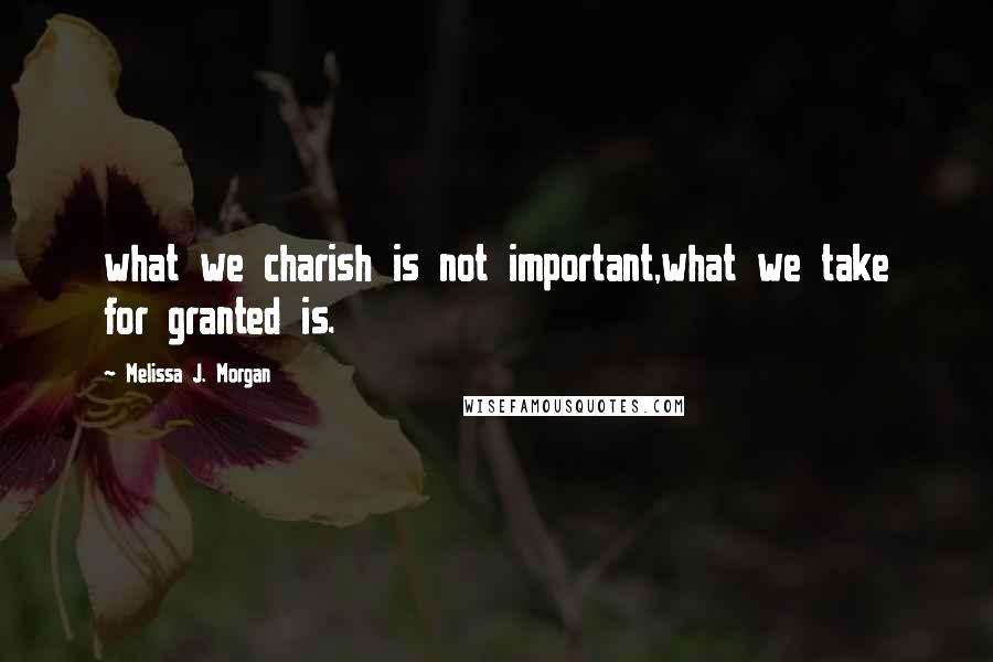 Melissa J. Morgan Quotes: what we charish is not important,what we take for granted is.