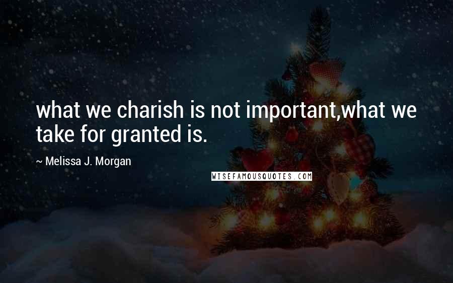 Melissa J. Morgan Quotes: what we charish is not important,what we take for granted is.