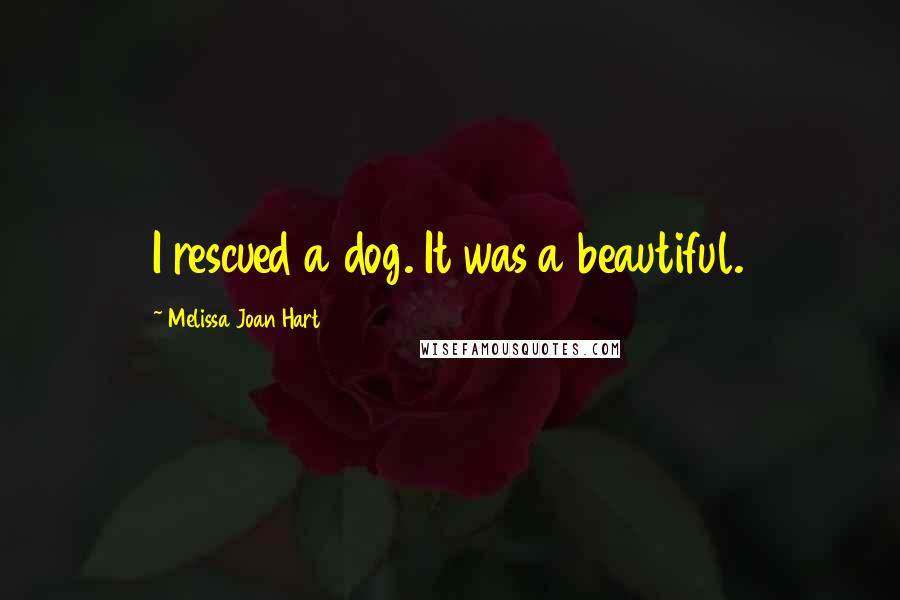 Melissa Joan Hart Quotes: I rescued a dog. It was a beautiful.