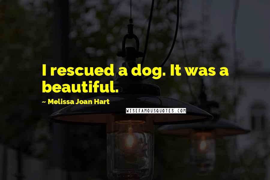 Melissa Joan Hart Quotes: I rescued a dog. It was a beautiful.